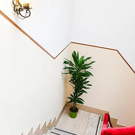 Hotel City 호텔 바리